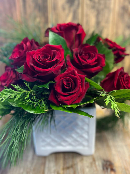 Holiday Roses