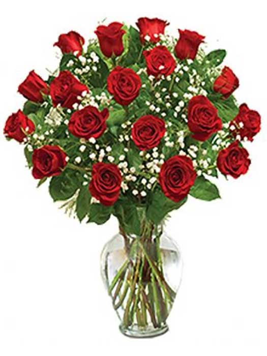 True Love in Red (18 Roses)