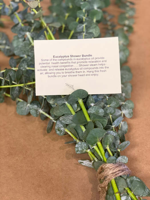 Eucalyptus Shower Bundle