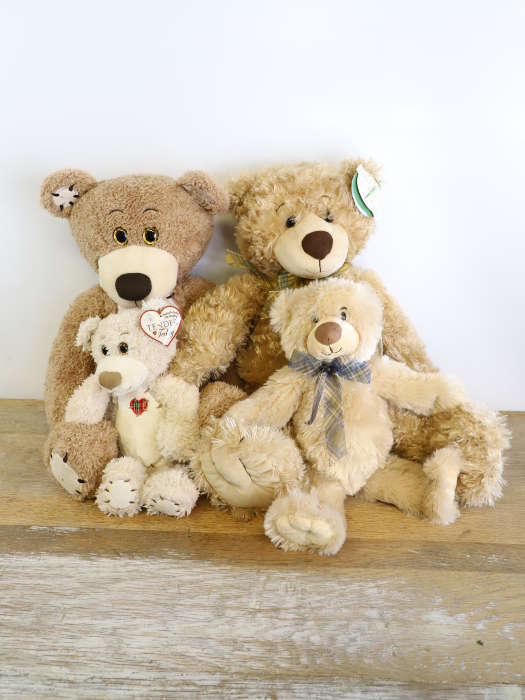 Plush Bear
